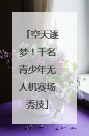 空天逐梦！千名青少年无人机赛场秀技